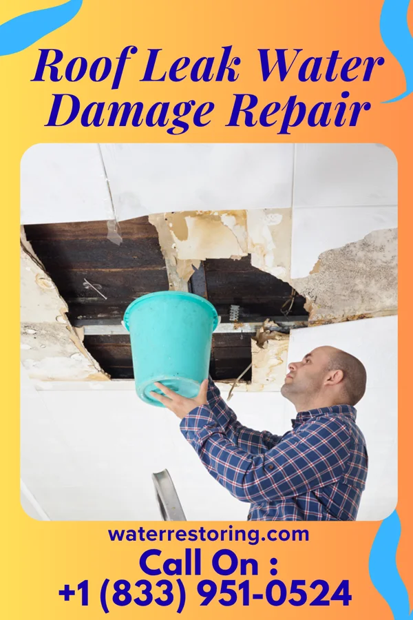 Roof Leak Water Damage Repair in Mapleton, ND